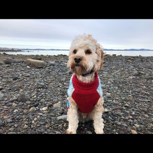 Meet your Posher, Daniel